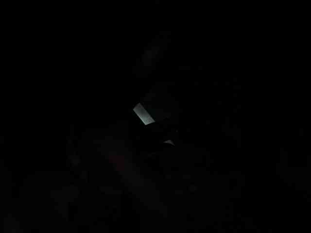 SallyeLeins SallyeLeins