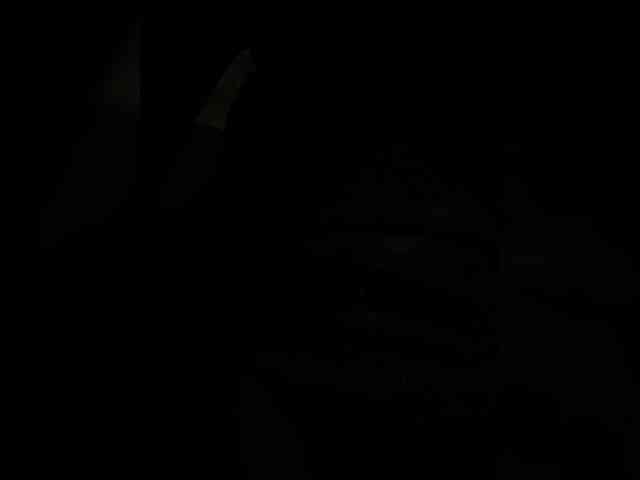 SallyeLeins's webcam live show