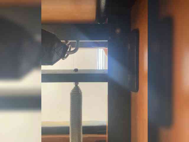 SallyeLeins webcam