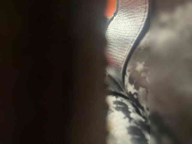 SallyeLeins SallyeLeins