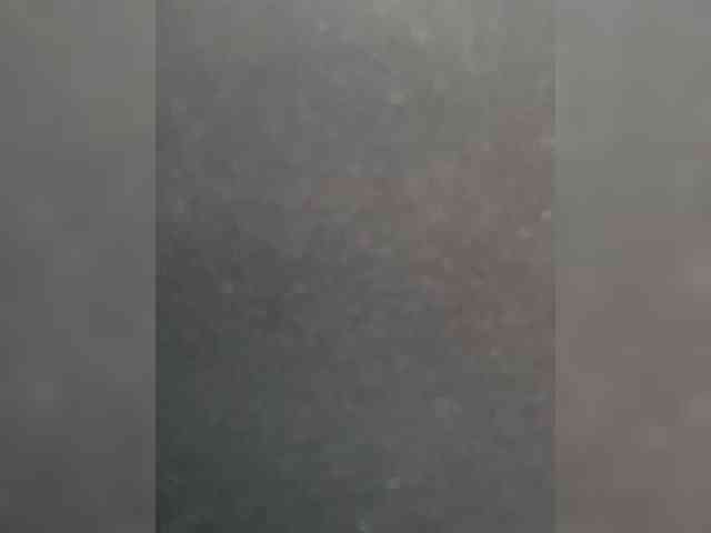 SallyeLeins Live Webcam on BongaCams