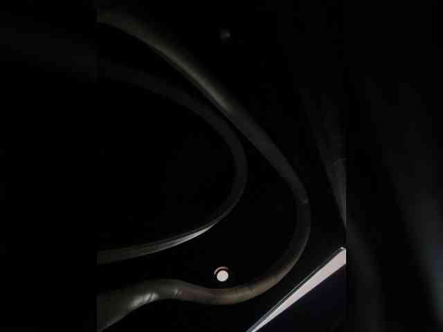 SallyeLeins webcam