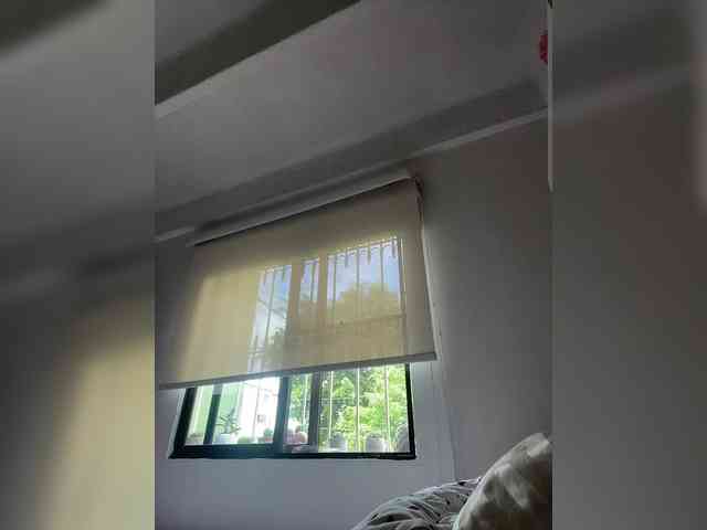 SallyeLeins SallyeLeins