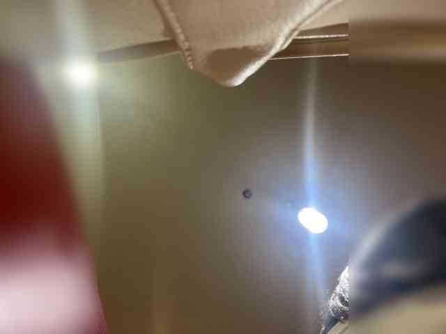 SallyeLeins webcam