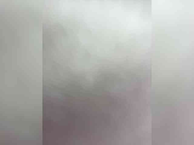 SallyeLeins SallyeLeins