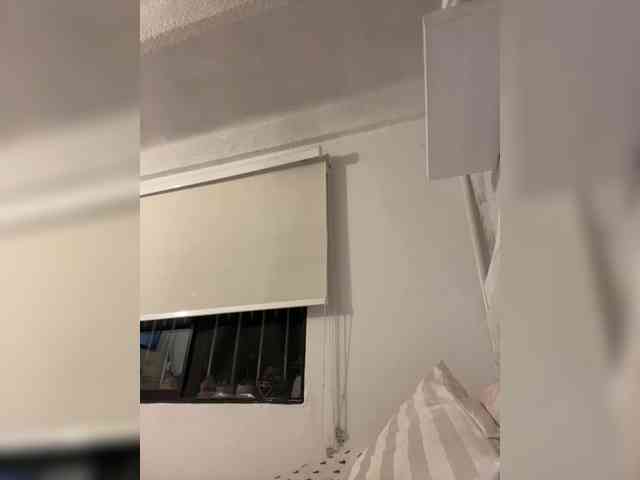 SallyeLeins SallyeLeins