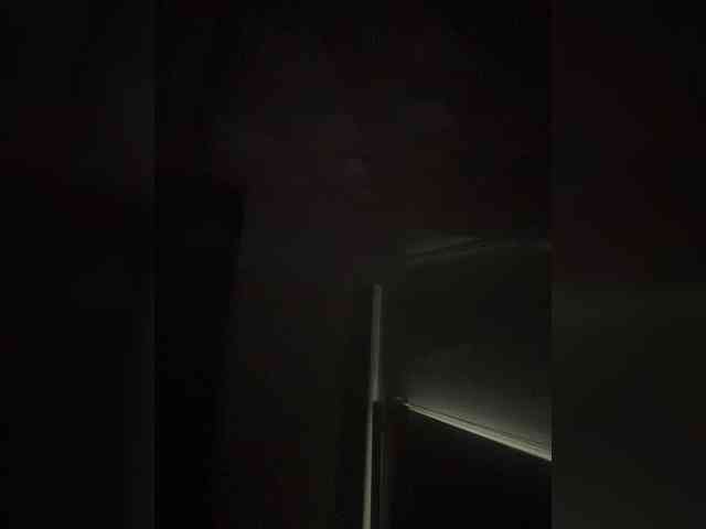 SallyeLeins SallyeLeins