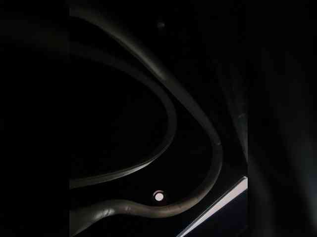 SallyeLeins webcam