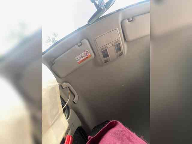 SallyeLeins SallyeLeins