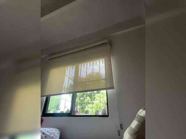 SallyeLeins SallyeLeins