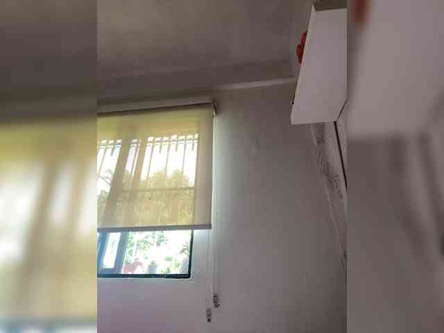 SallyeLeins SallyeLeins