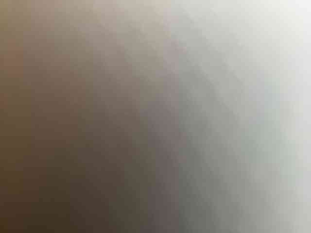 SallyeLeins webcam
