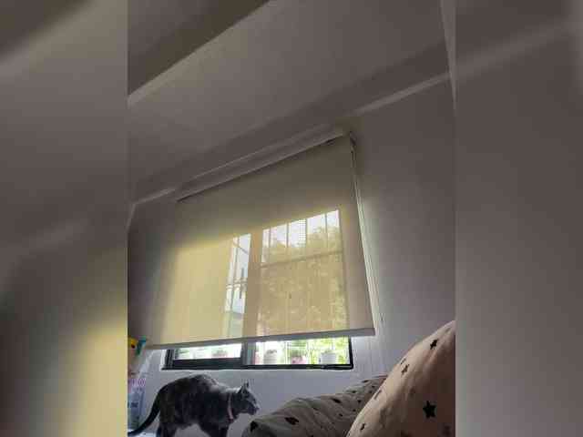 SallyeLeins SallyeLeins