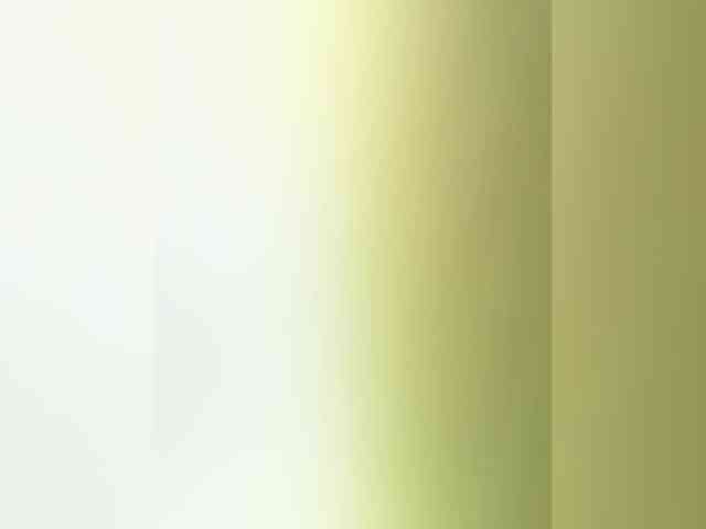 SallyeLeins SallyeLeins