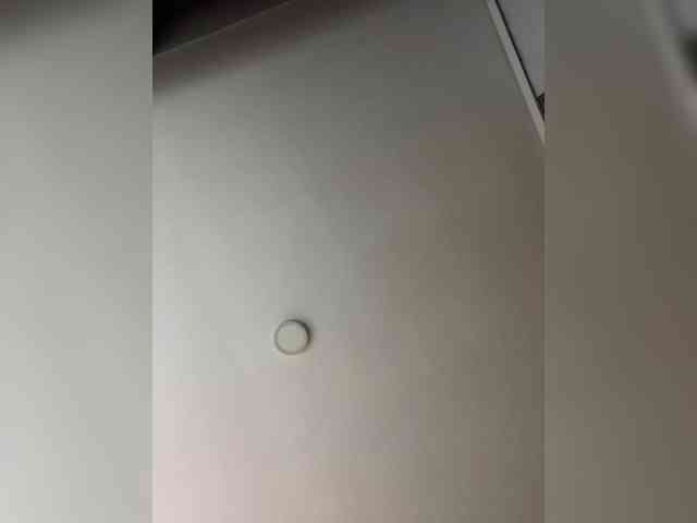 SallyeLeins Live Webcam on BongaCams