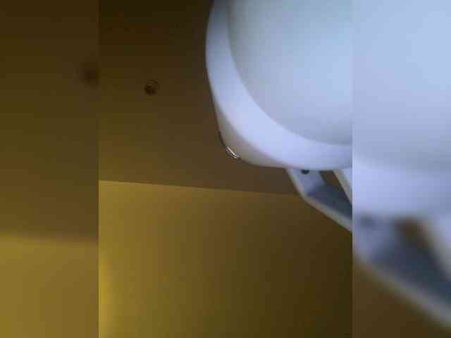 SallyeLeins webcam
