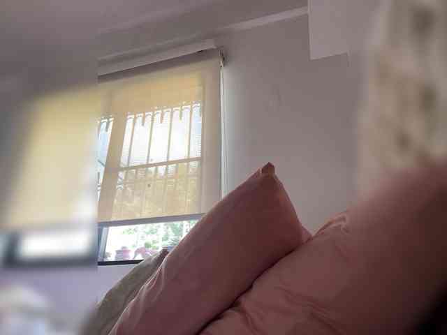 SallyeLeins webcam