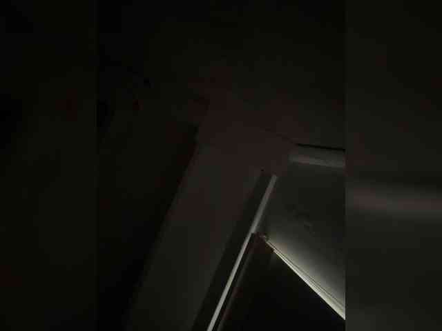 SallyeLeins SallyeLeins