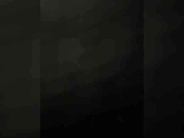 SallyeLeins SallyeLeins