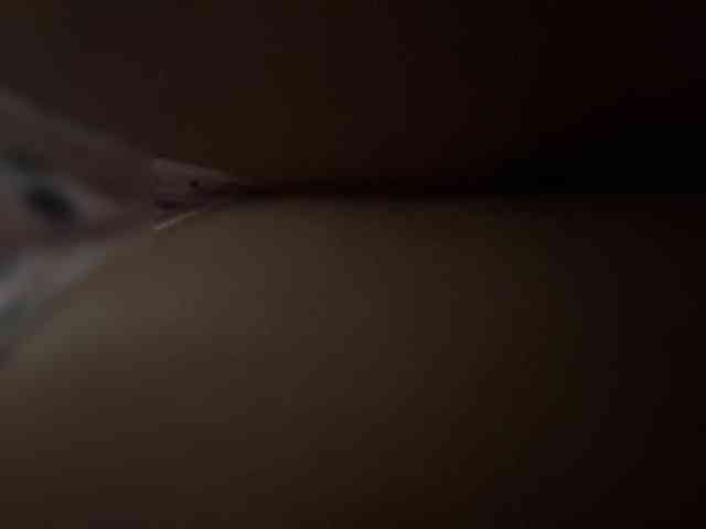 SallyeLeins webcam