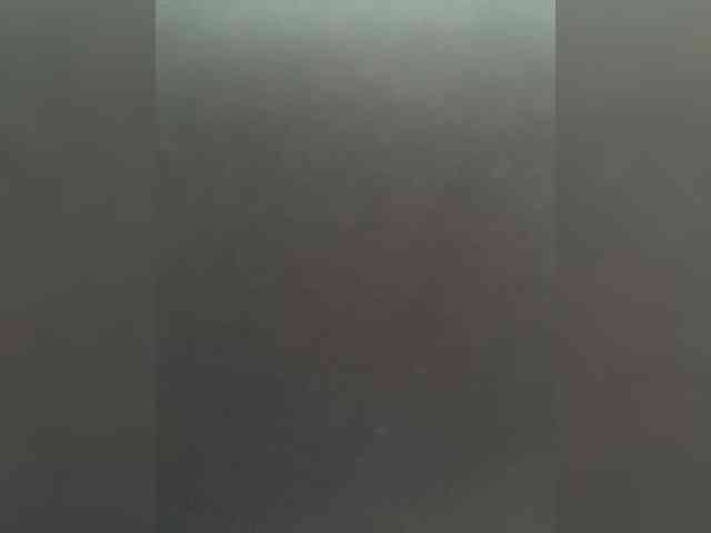 SallyeLeins webcam
