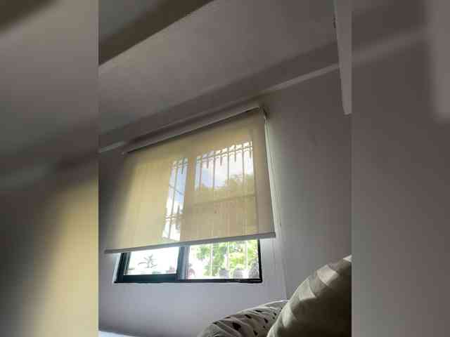 SallyeLeins SallyeLeins