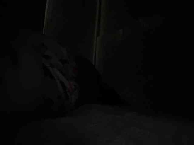 SallyeLeins SallyeLeins