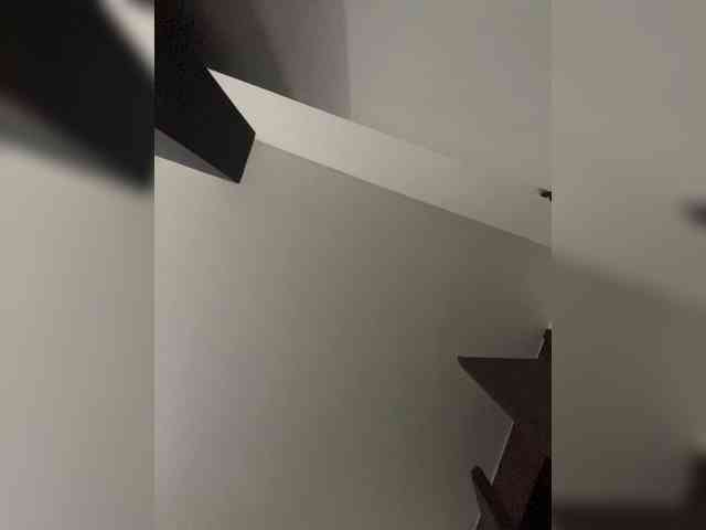 SallyeLeins SallyeLeins