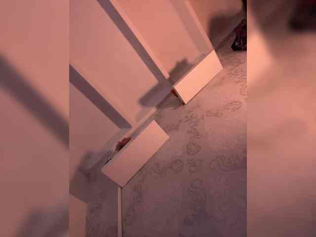 SallyeLeins SallyeLeins