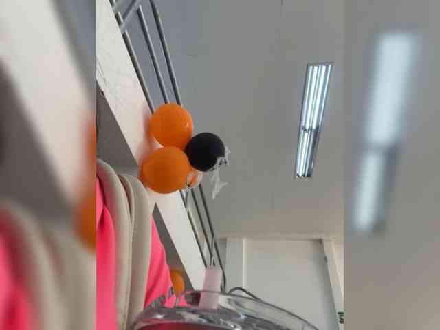 SallyeLeins webcam