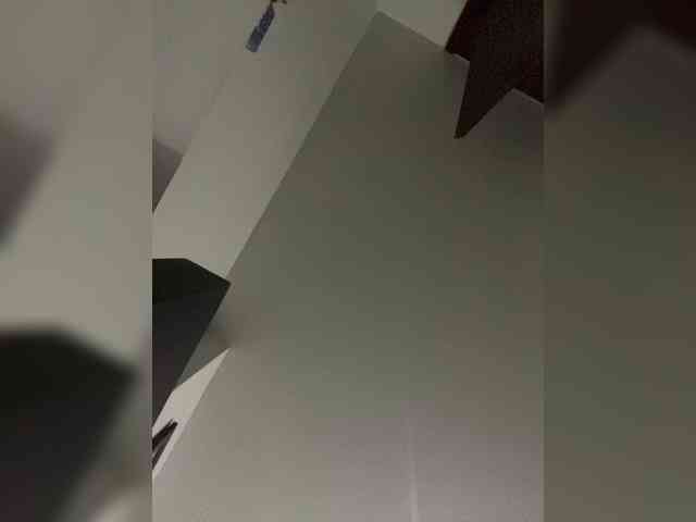 SallyeLeins SallyeLeins