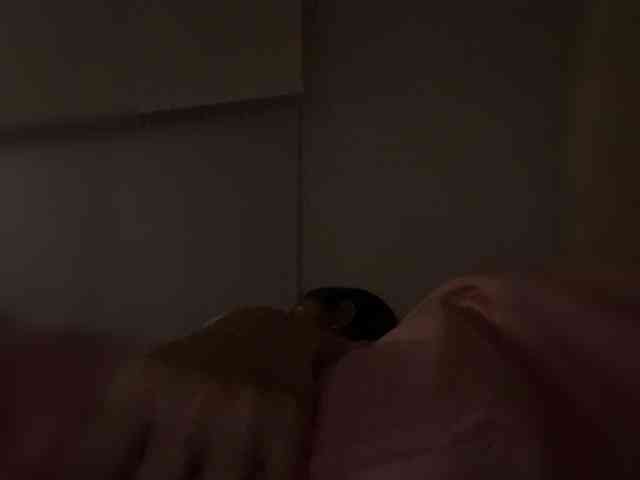 SallyeLeins webcam