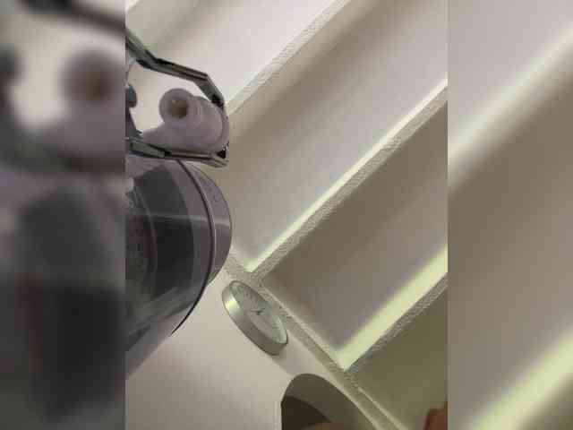 SallyeLeins SallyeLeins