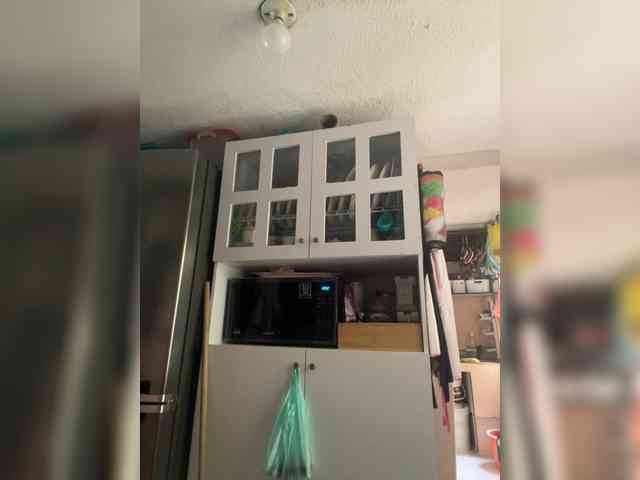 SallyeLeins SallyeLeins