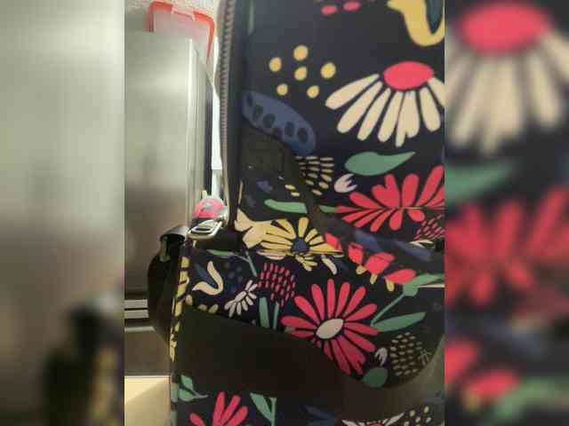 SallyeLeins Live Webcam on BongaCams