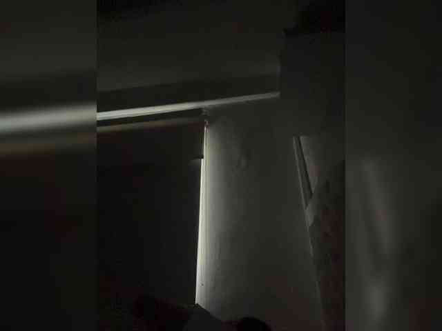 SallyeLeins SallyeLeins