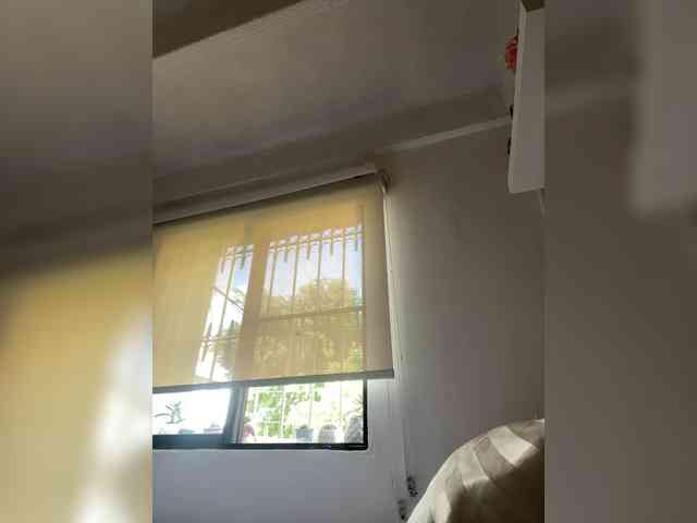 SallyeLeins SallyeLeins