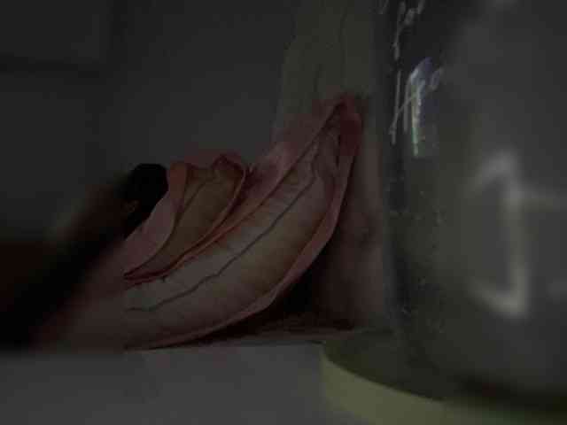 SallyeLeins webcam
