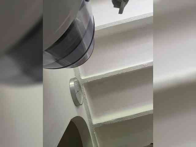 SallyeLeins SallyeLeins