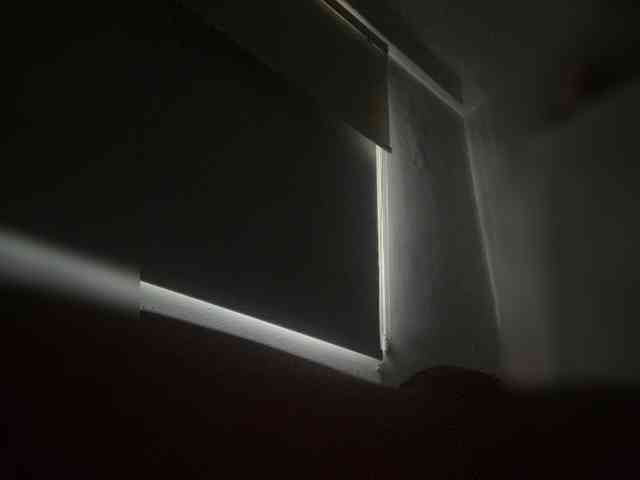 SallyeLeins SallyeLeins