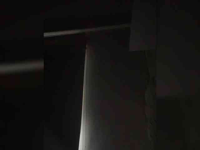 SallyeLeins SallyeLeins