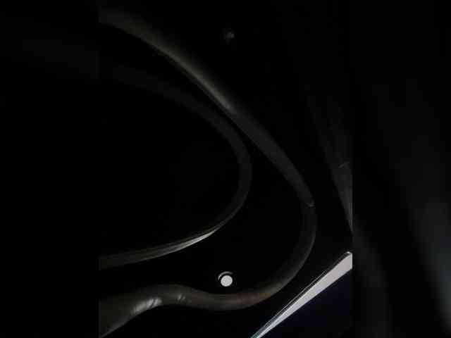 SallyeLeins webcam