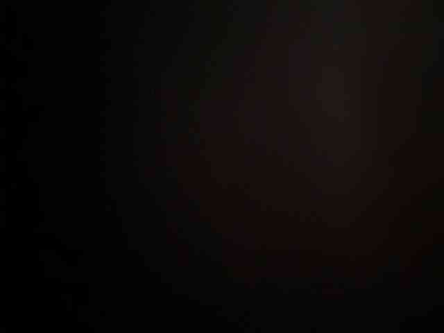 SallyeLeins SallyeLeins