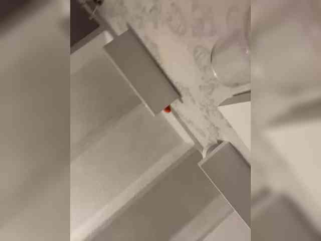 SallyeLeins SallyeLeins