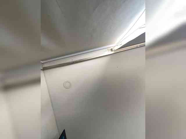 SallyeLeins SallyeLeins