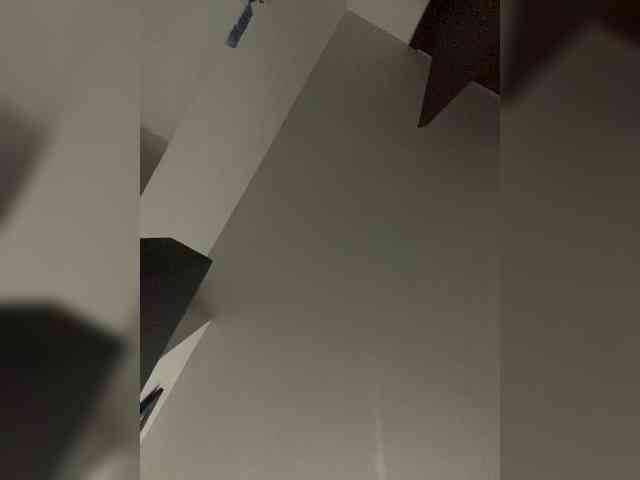 SallyeLeins SallyeLeins