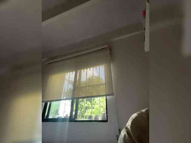 SallyeLeins SallyeLeins