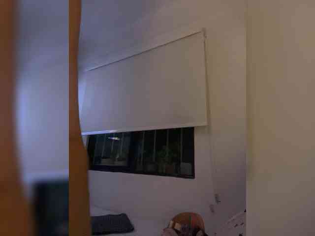 SallyeLeins Live Webcam on BongaCams