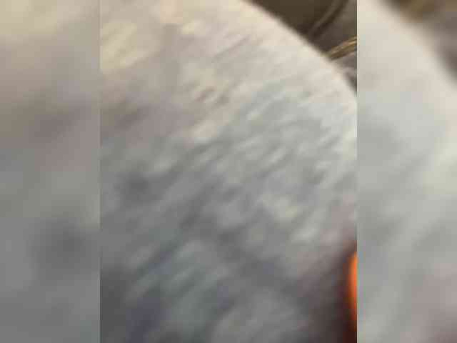 SallyeLeins SallyeLeins