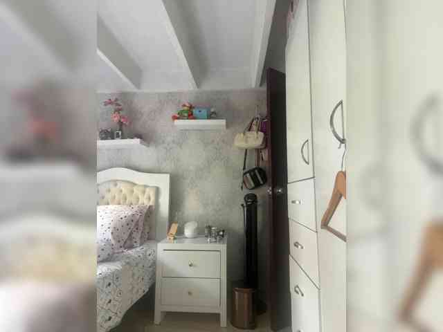 SallyeLeins SallyeLeins